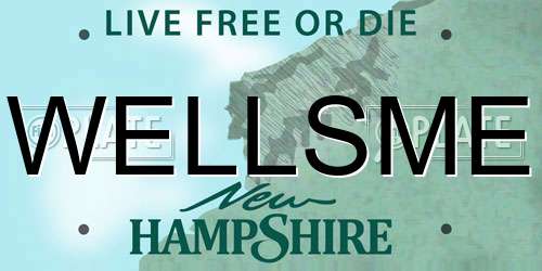 WELLSME New Hampshire License Plate