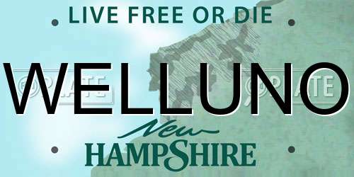 WELLUNO New Hampshire License Plate
