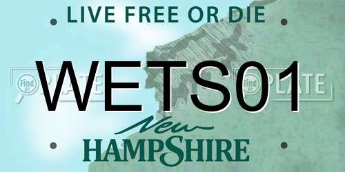 WETS01 New Hampshire License Plate