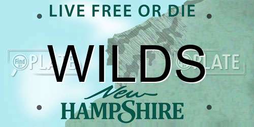 WILDS New Hampshire License Plate