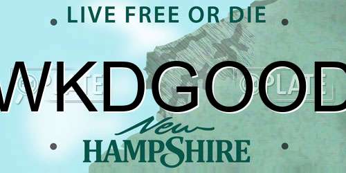 WKDGOOD New Hampshire License Plate