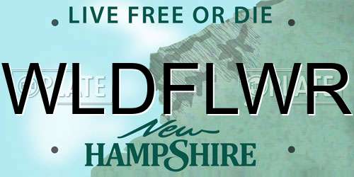 WLDFLWR New Hampshire License Plate