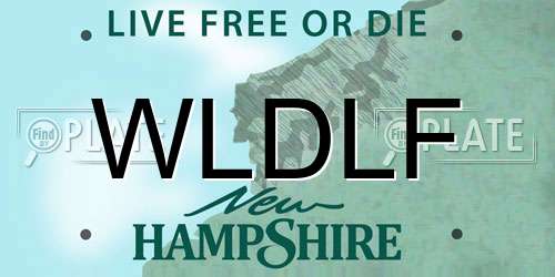 WLDLF New Hampshire License Plate