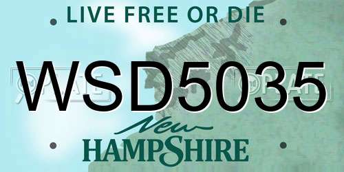 WSD5035 New Hampshire License Plate