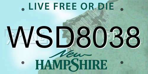 WSD8038 New Hampshire License Plate