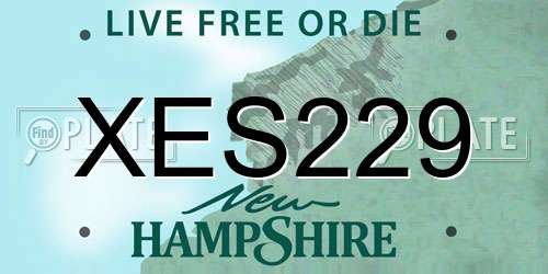 XES229 New Hampshire License Plate