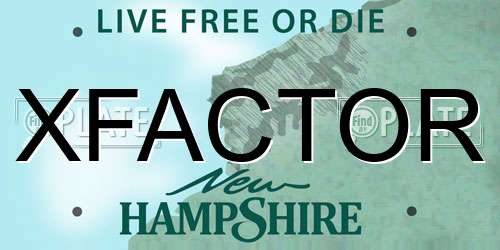 XFACTOR New Hampshire License Plate