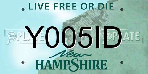 Y005ID New Hampshire License Plate