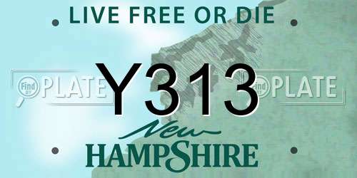 Y313 New Hampshire License Plate