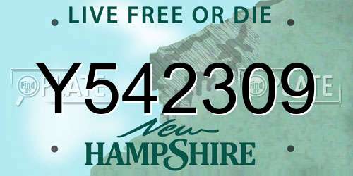 Y542309 New Hampshire License Plate
