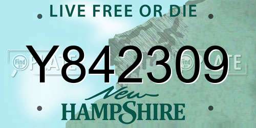 Y842309 New Hampshire License Plate