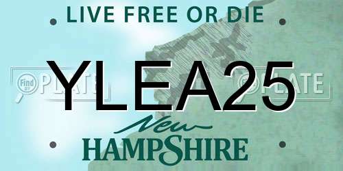 YLEA25 New Hampshire License Plate