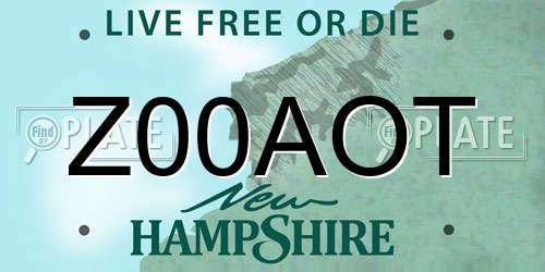 Z00AOT New Hampshire License Plate