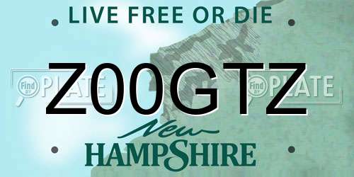 Z00GTZ New Hampshire License Plate