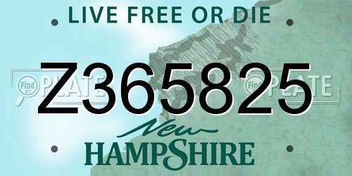 Z365825 New Hampshire License Plate