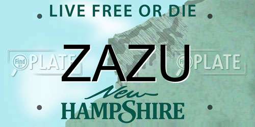 ZAZU New Hampshire License Plate