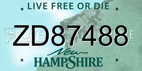 ZD87488 New Hampshire License Plate