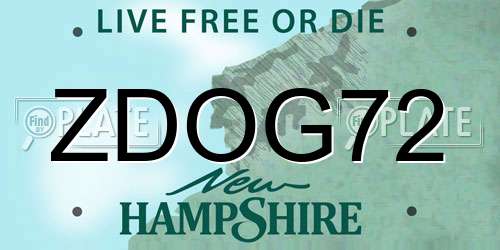 ZDOG72 New Hampshire License Plate