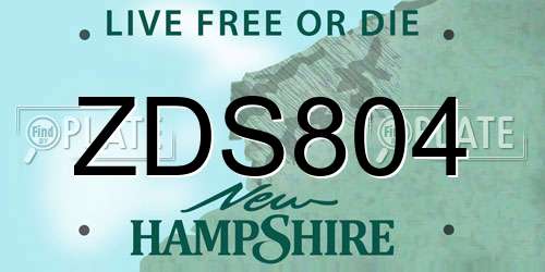 ZDS804 New Hampshire License Plate