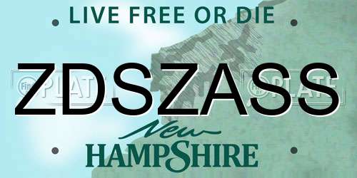 ZDSZASS New Hampshire License Plate