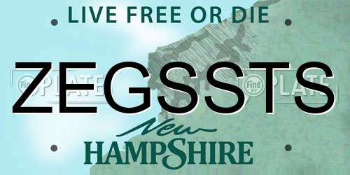 ZEGSSTS New Hampshire License Plate