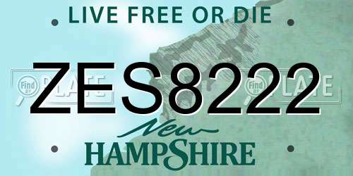 ZES8222 New Hampshire License Plate