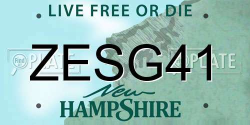 ZESG41 New Hampshire License Plate