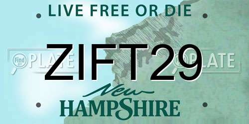ZIFT29 New Hampshire License Plate