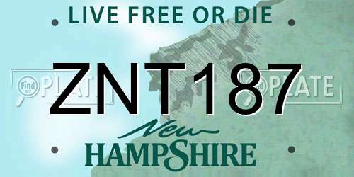 ZNT187 New Hampshire License Plate