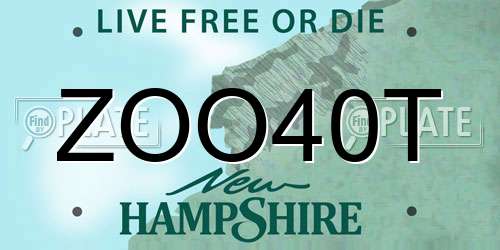 ZOO40T New Hampshire License Plate