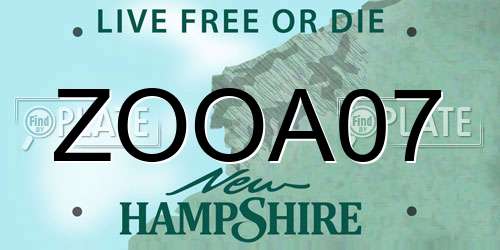 ZOOA07 New Hampshire License Plate