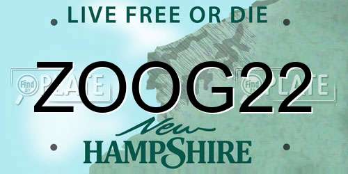 ZOOG22 New Hampshire License Plate
