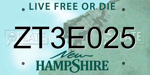 ZT3E025 New Hampshire License Plate