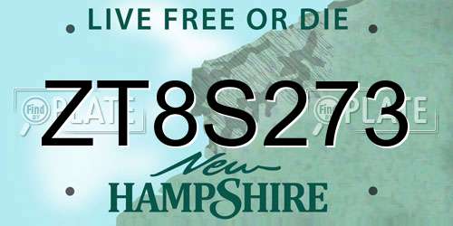 ZT8S273 New Hampshire License Plate