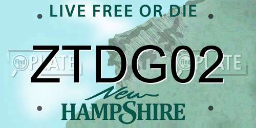 ZTDG02 New Hampshire License Plate