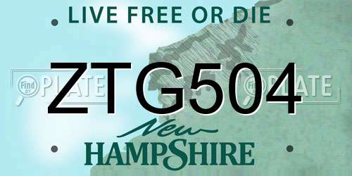 ZTG504 New Hampshire License Plate