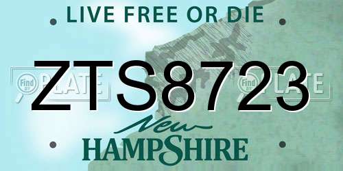 ZTS8723 New Hampshire License Plate