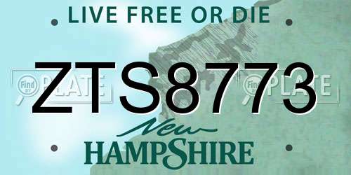 ZTS8773 New Hampshire License Plate