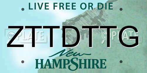ZTTDTTG New Hampshire License Plate
