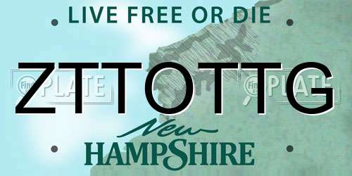 ZTTOTTG New Hampshire License Plate