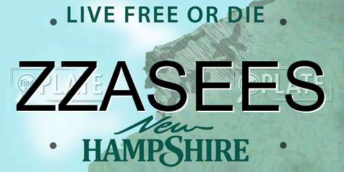ZZASEES New Hampshire License Plate