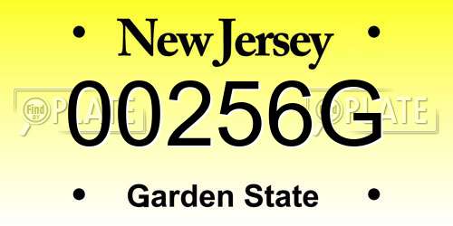 00256G New Jersey License Plate