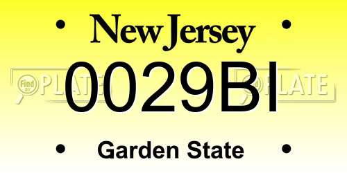 0029BI New Jersey License Plate