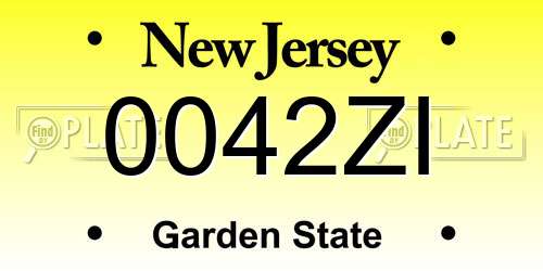 0042ZI New Jersey License Plate