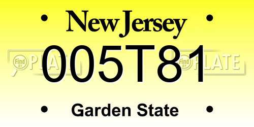 005T81 New Jersey License Plate