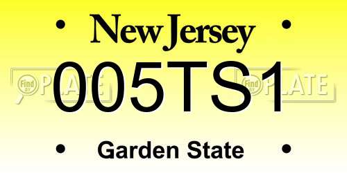 005TS1 New Jersey License Plate