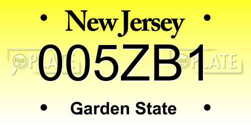 005ZB1 New Jersey License Plate