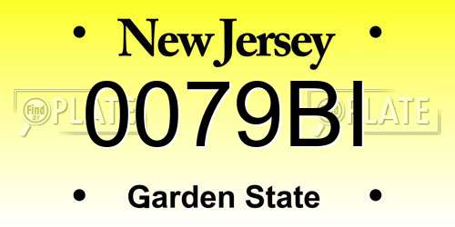 0079BI New Jersey License Plate