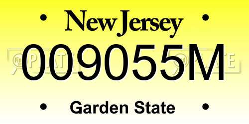 009055M New Jersey License Plate
