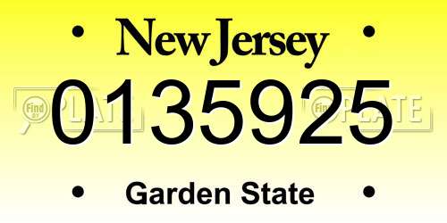 0135925 New Jersey License Plate